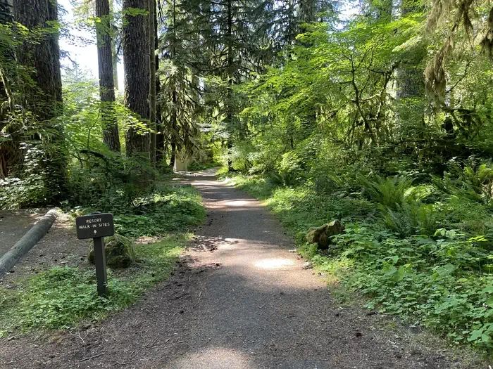 Sol Duc Hot Springs Resort Campground