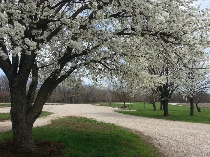 Rockhaven Park Campground and Equestrian Area
