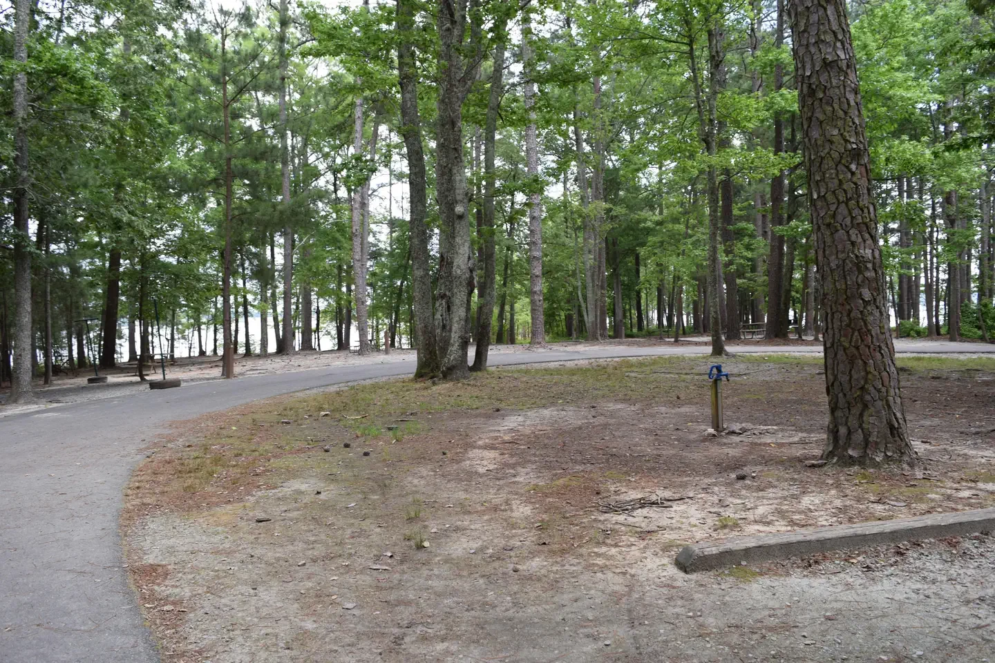 Piney Woods Group Camping Area