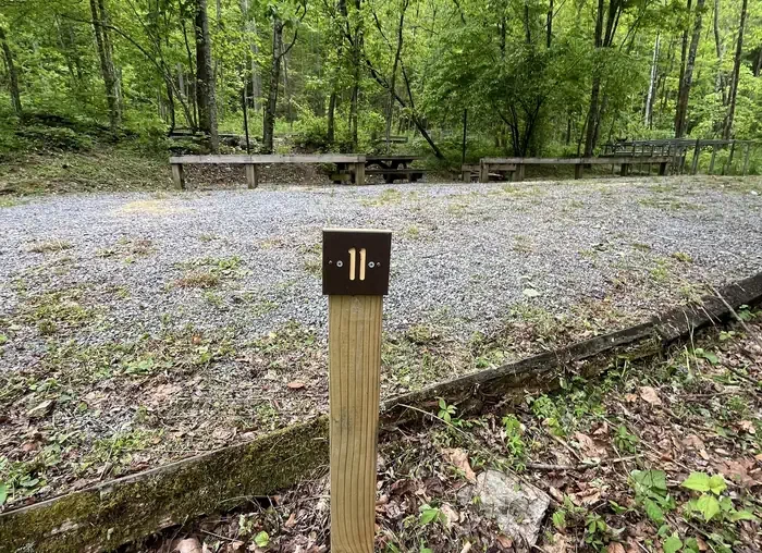 HD11