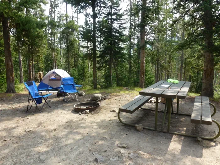 Lewis Lake site #53