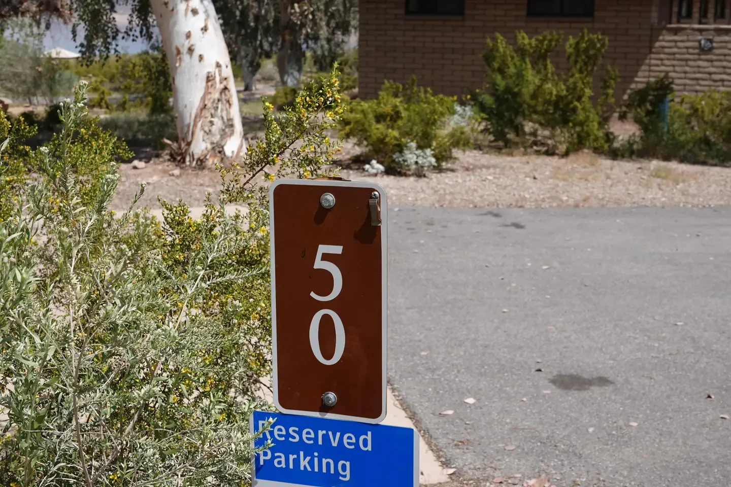 Site 50
