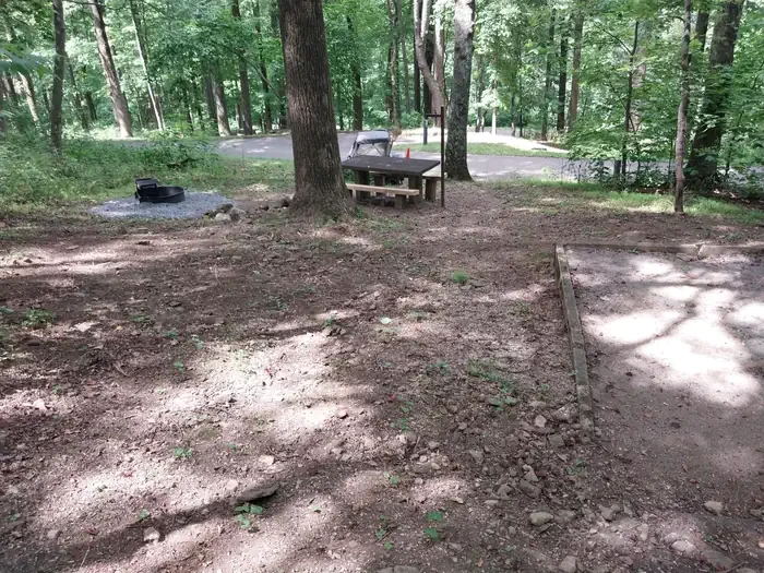 B40