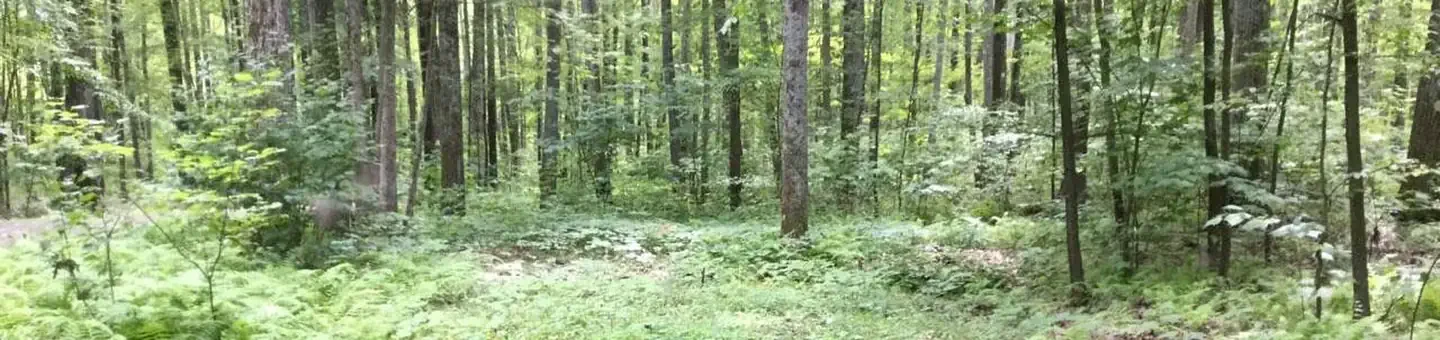 101