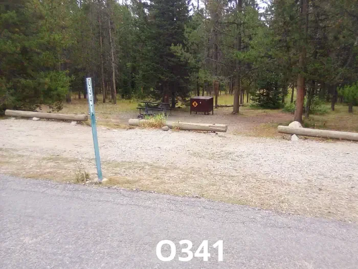 341