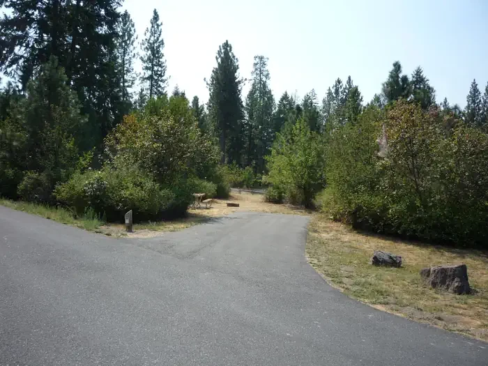 Hunters Campground