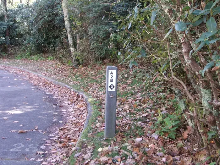 A28