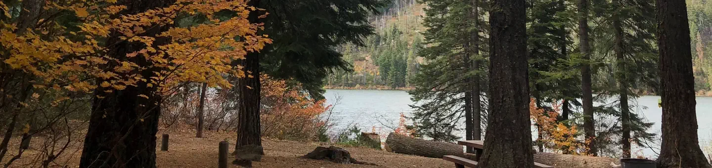 Link Creek