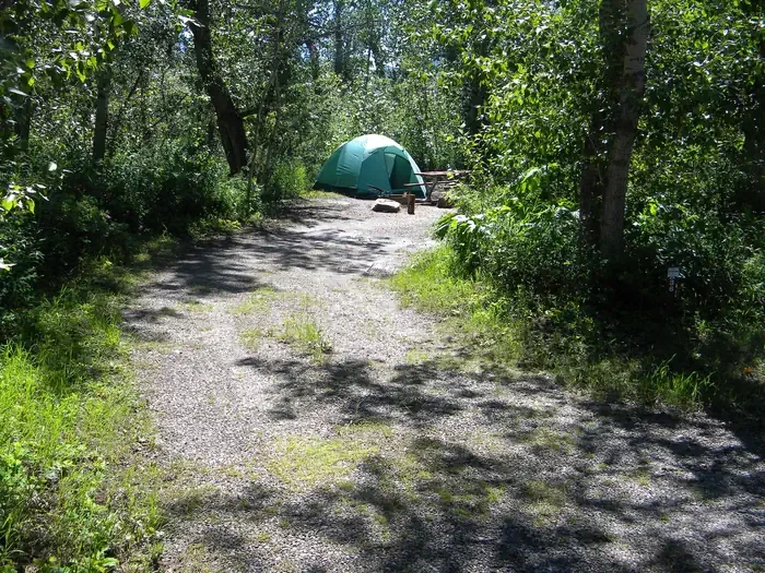 A36