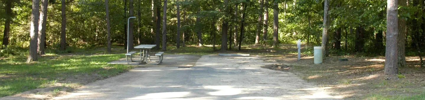 N18