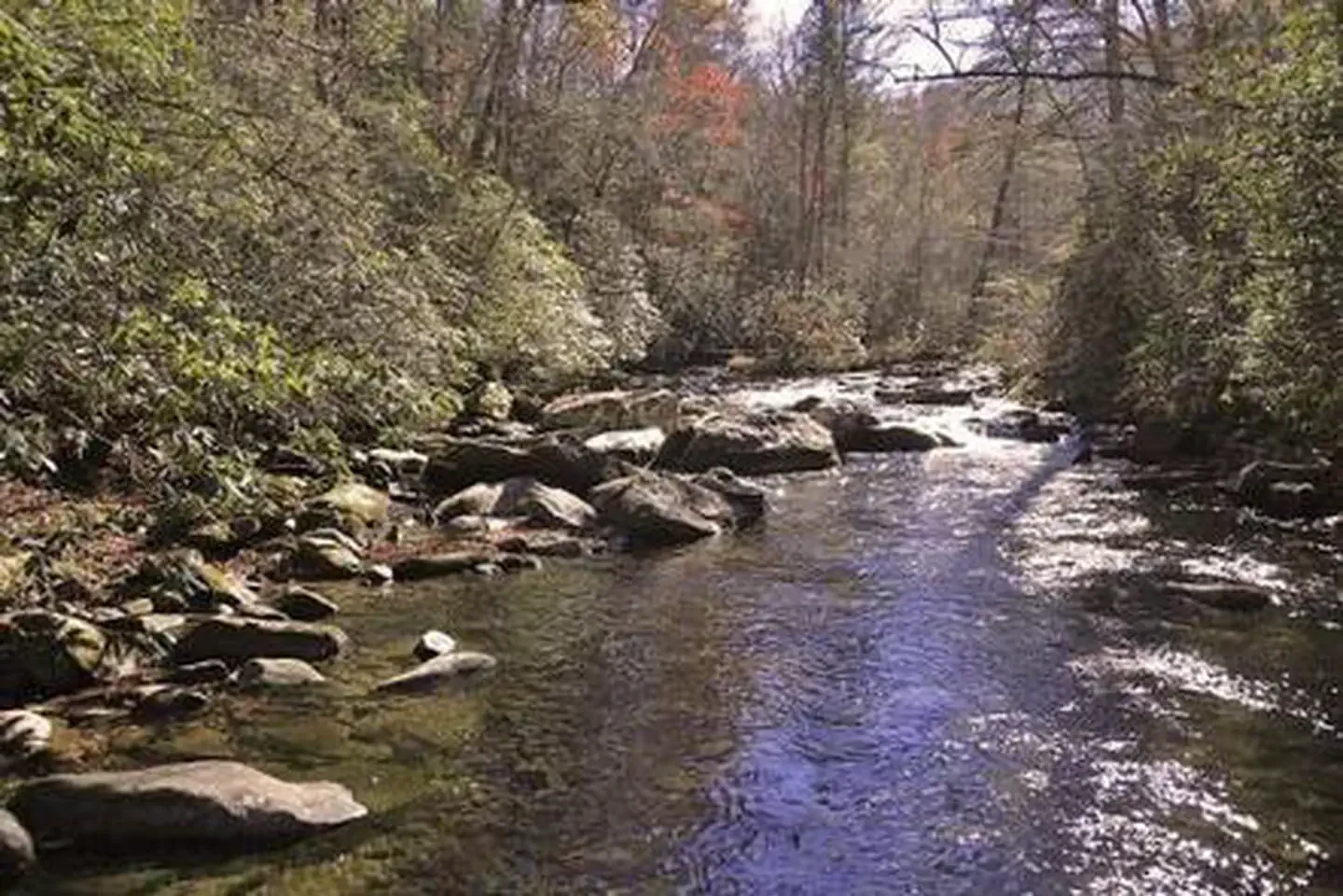 Rattler Ford Group Campground