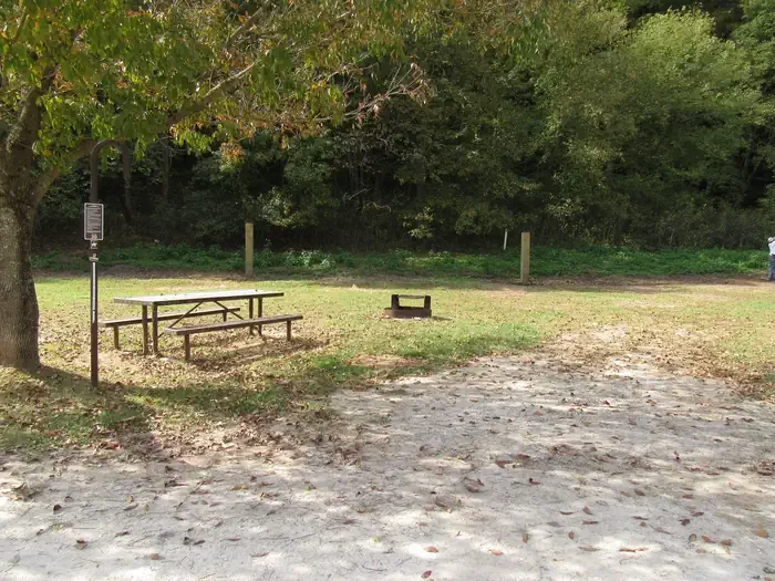 30 - Horse Site