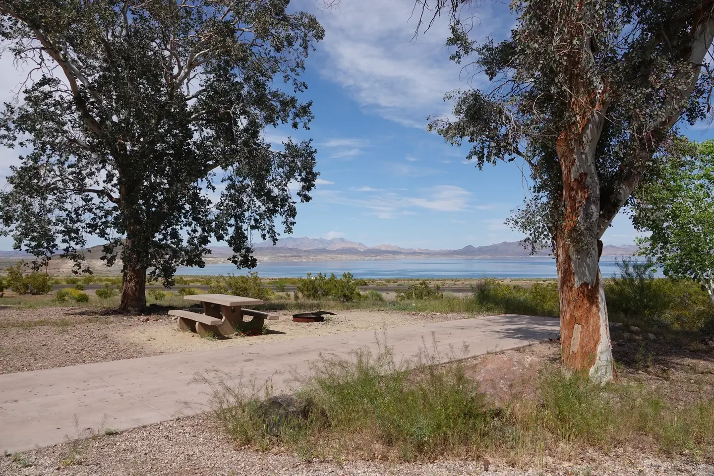 Site 81