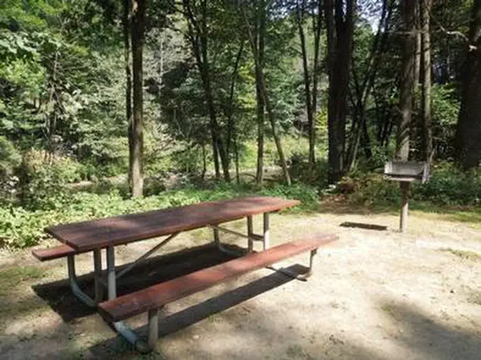 Union Village Dam Picnic Area (vt)