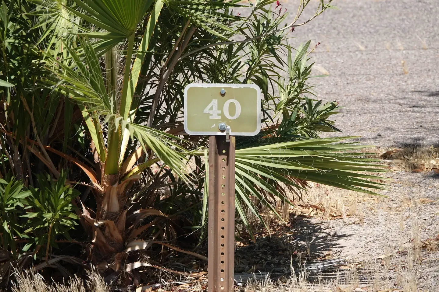 Site 40