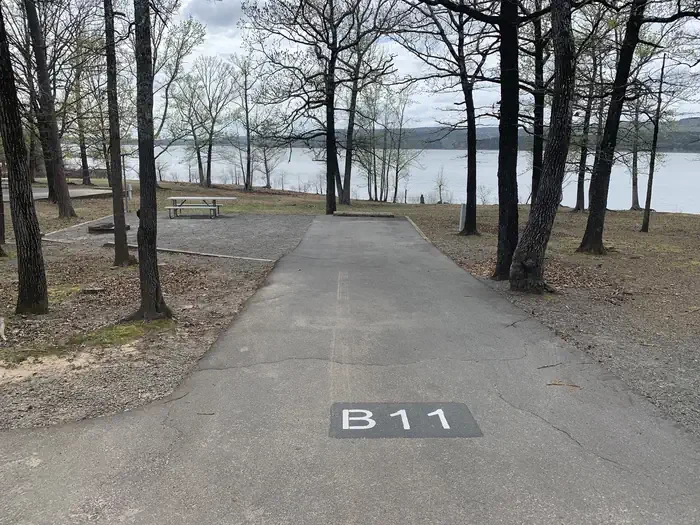 B11