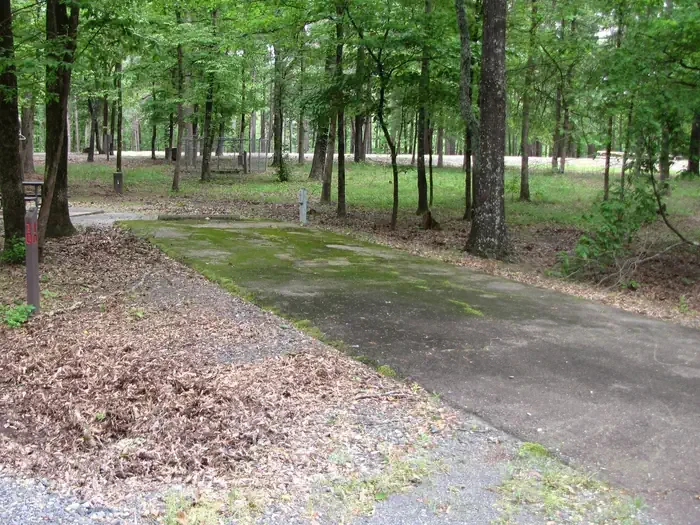 Site 10