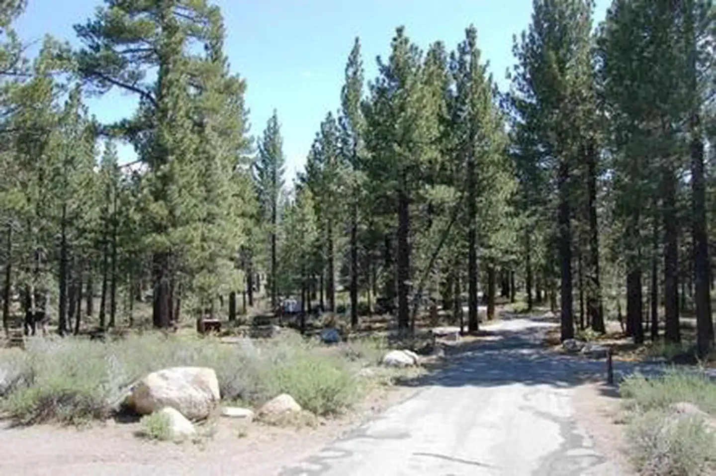 New Shady Rest Campground