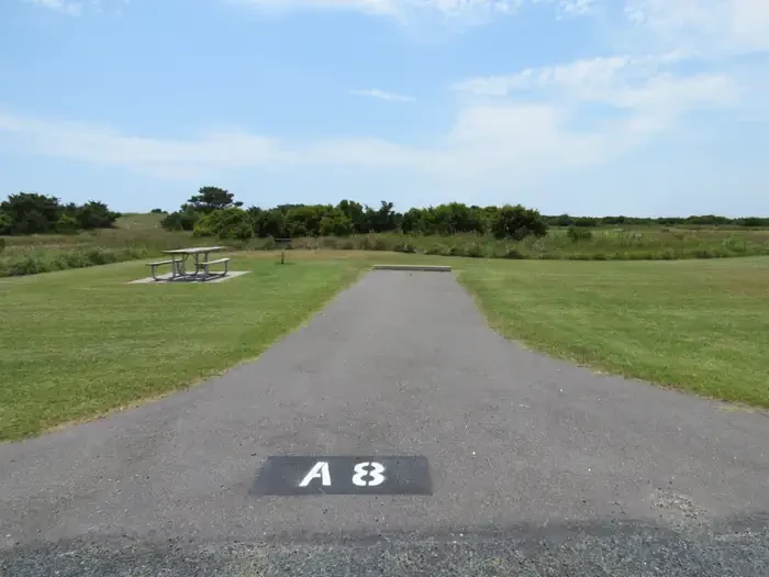 A008