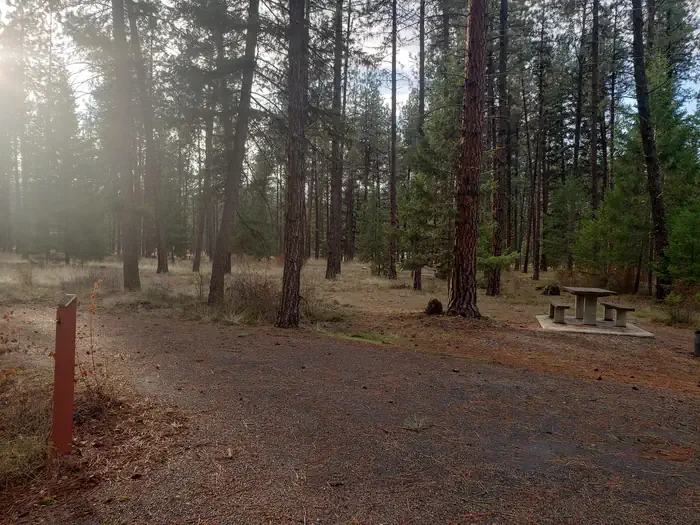 Quartz Flat Campground (MT)