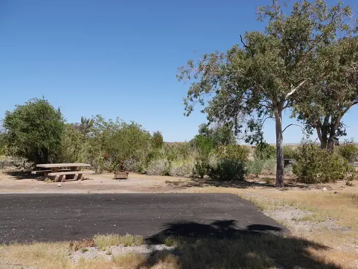 Site 8