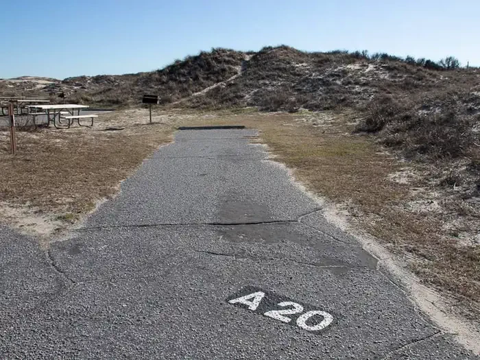 A020