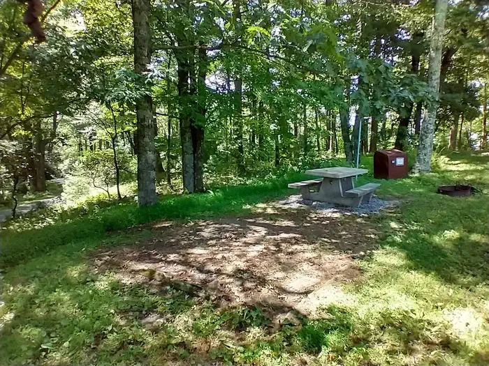 B46