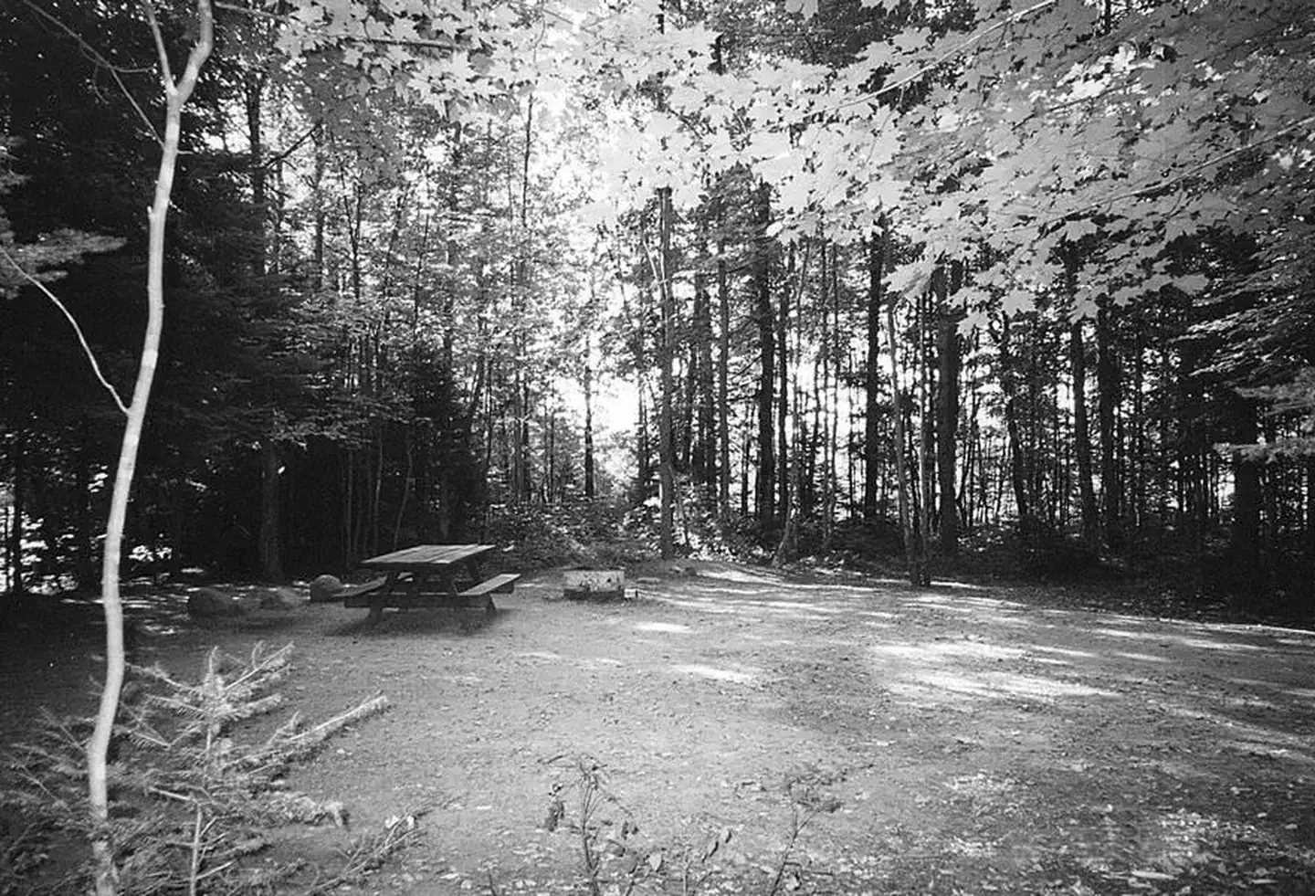 Bear Lake Campground (Chequamegon-Nicolet NF, WI)