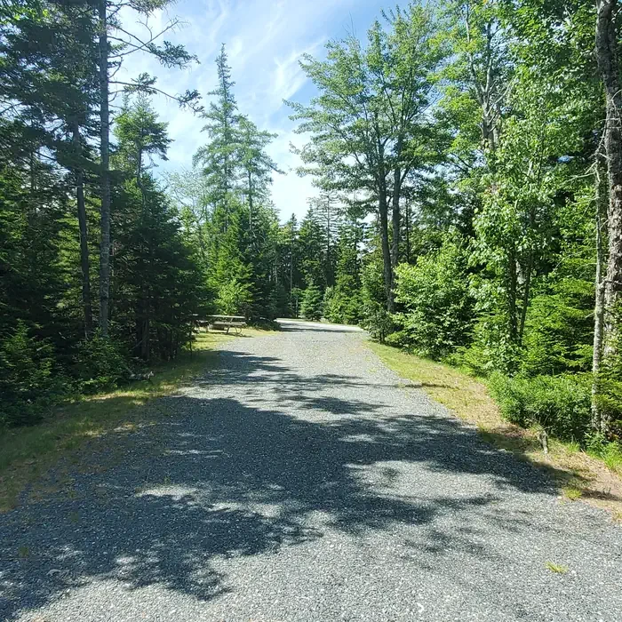 B14