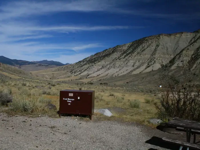 Mammoth site #39