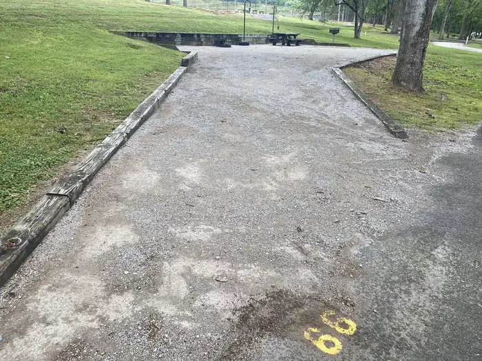 66