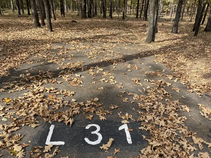 L31