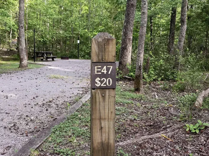 47