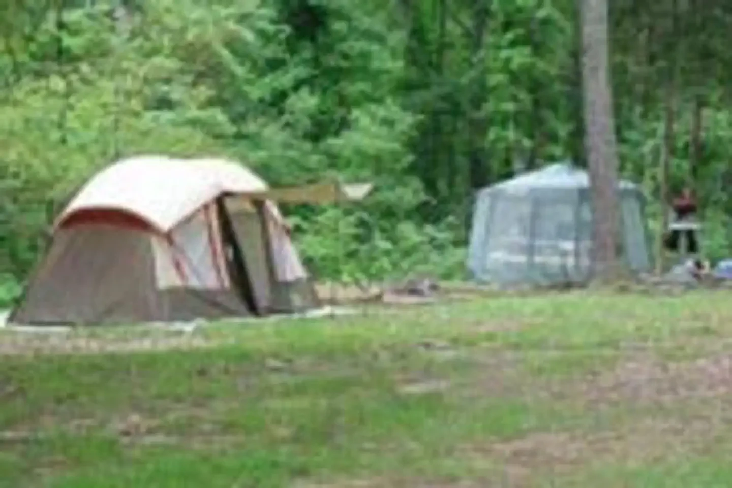 Dub Patton Campground