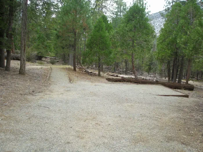 Site C