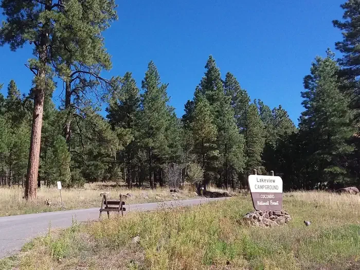 Lakeview Campground (AZ)