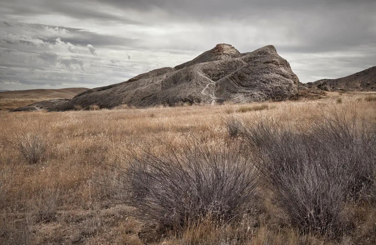 Carrizo Plain National Monument Tours