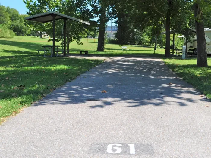 61