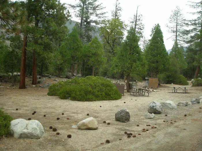 Site B