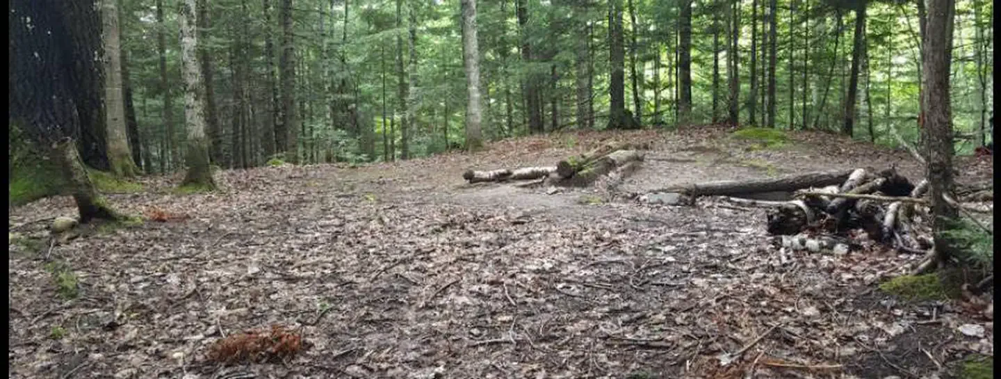 DEER-2
