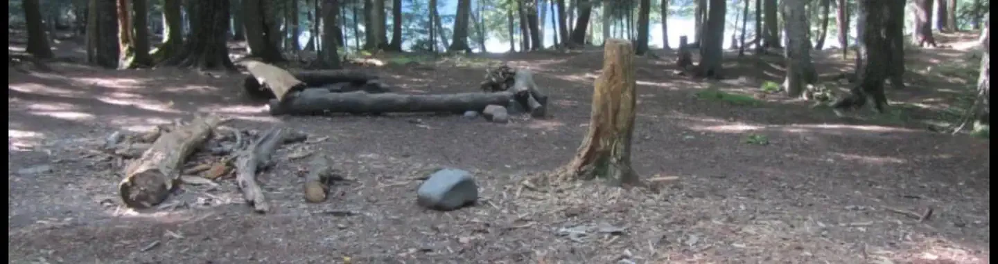 BEAVER-1