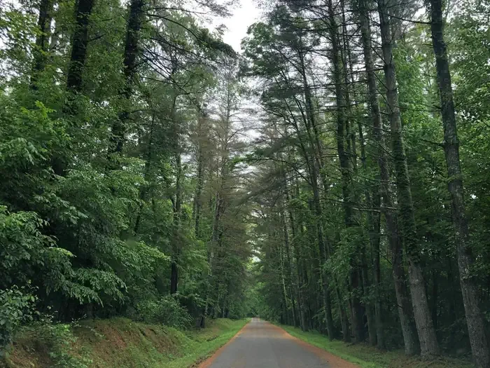 Bakers Run Campground