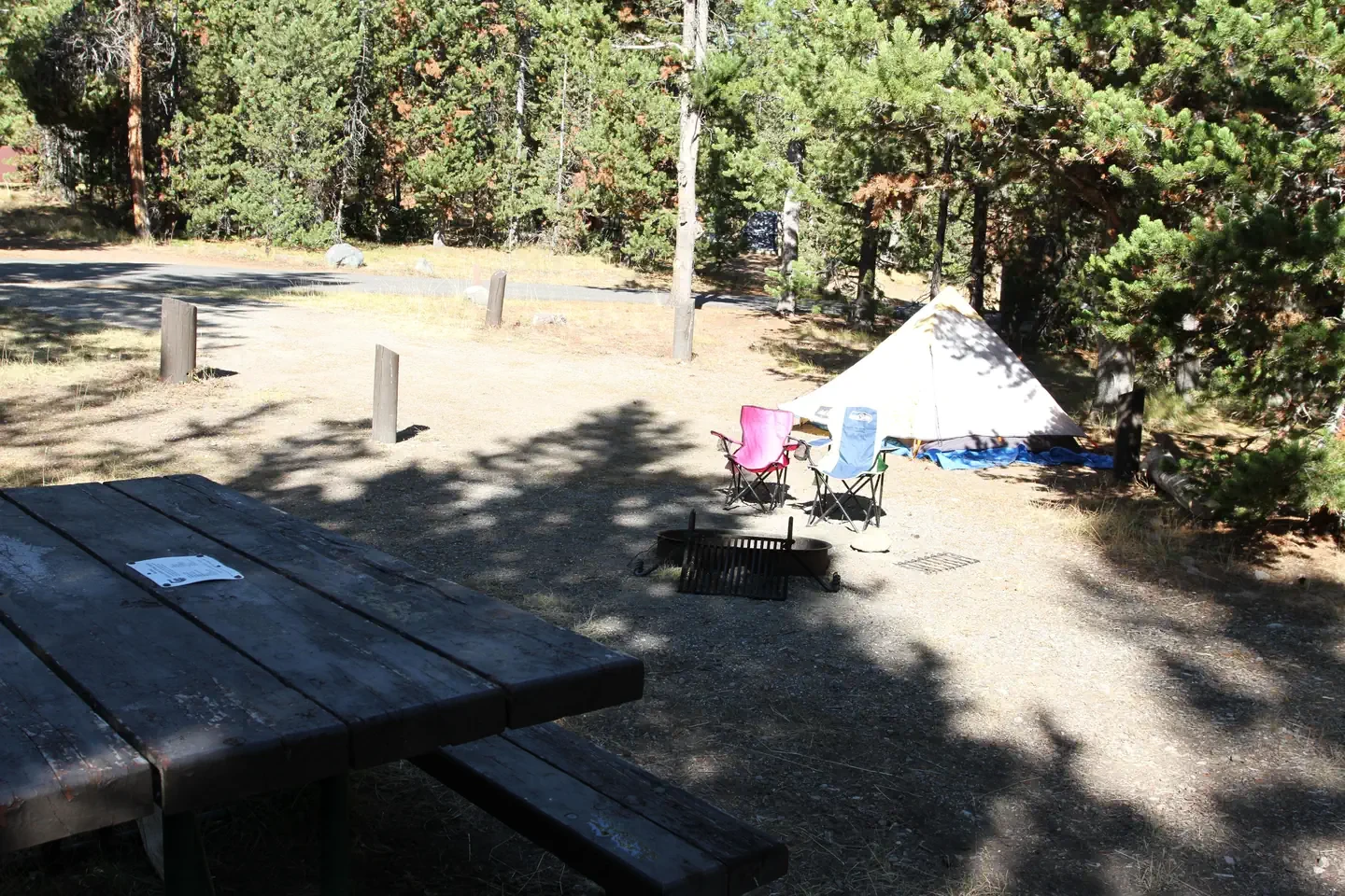 Indian Creek site #43