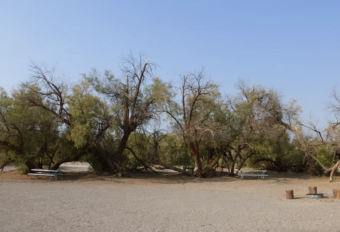 Group site 5