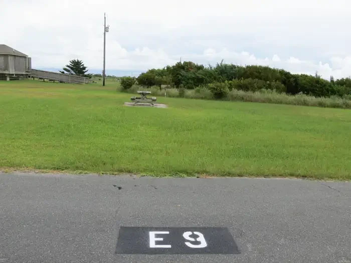 E009