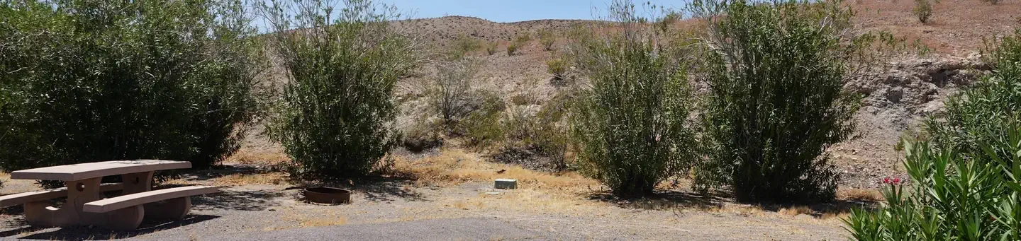 Site 13