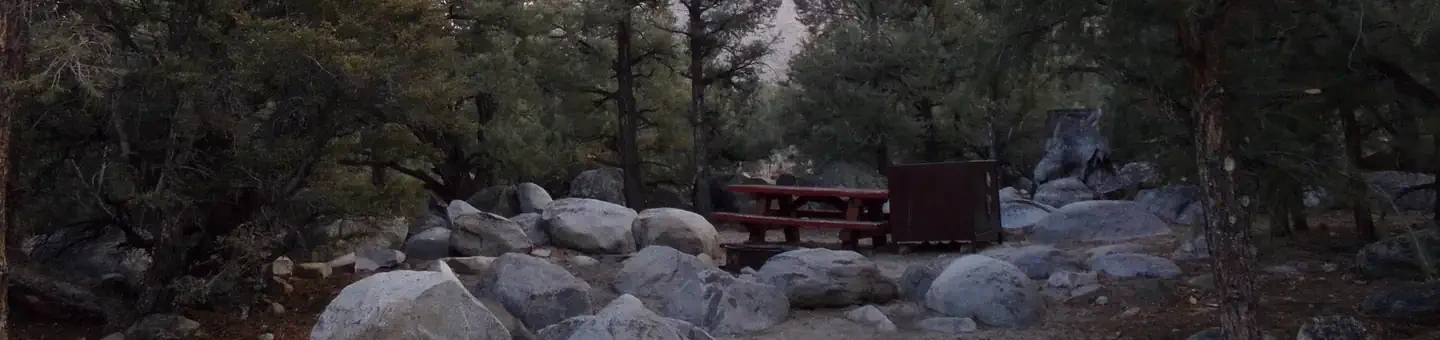 007