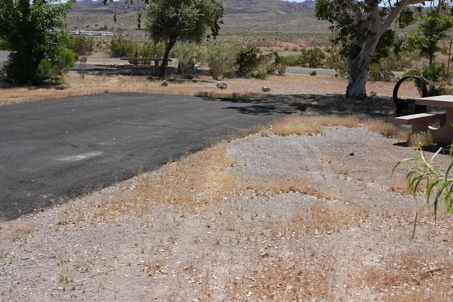 Site 61
