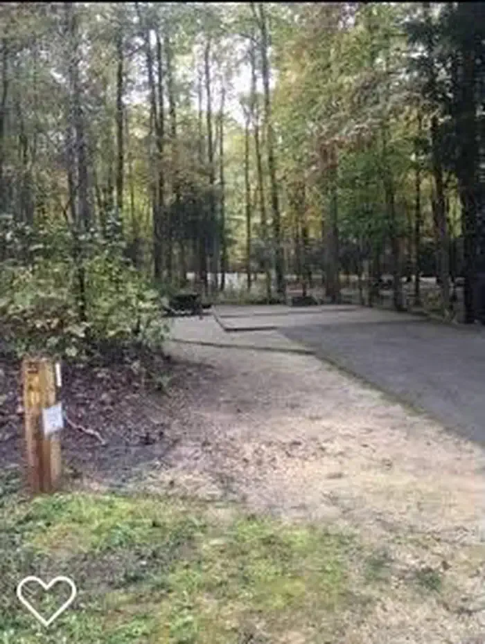 D03