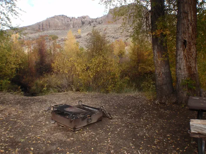 Red Creek Group Site
